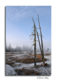 West Thumb Geyser Basin