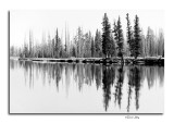 Lewis River Reflection