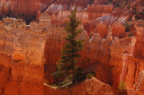 Bryce Canyon