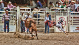 Rodeo