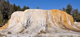 Yellowstone 022.jpg