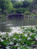 Kyoto Gardens 001.jpg