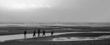 Silhourettes on the Shoreline_03