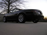 PICS FEBRUARY 10, 2008 068.jpg