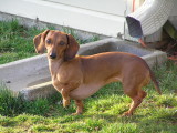 PICS MARCH 15, 2008 033.jpg