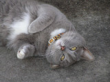 PICS MARCH 15, 2008 041.jpg