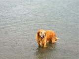 smiling in the rain