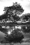 Rose Garden Sunset.jpg