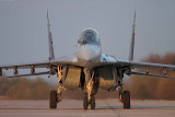 MiG-29_Fulcrum_Minsk