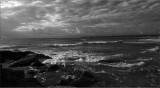 DSC_0006_8100.jpg