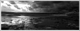 Beach at the Esplanade