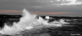 DSC_5497c.jpg