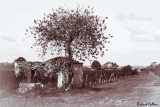 Les Leves, France
