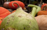 DSC02554rm-1ps2.jpg