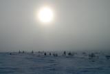 icefog on the tundra.jpg