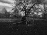 Old Wagon Nauvoo 4-09.jpg