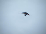 Microlight over Bakewell