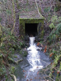 Culvert architecture