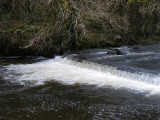 Mini falls on Afan Twrch