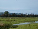 Paxton's Tower in the distance