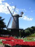 Dutch Windmill in Golden Gate park - we took the bus to see the windmill...and then sleep on the beach.