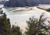 Torrent Bay Abel Tasman