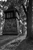 DSC_7699bw.jpg