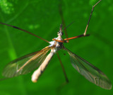 DSC_0043.jpg