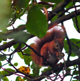 DSC_8674.jpg