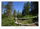 Hidden Falls Hike - Grand Teton