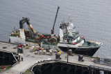 Rebecca Irene at City Dock