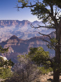 Grand Canyon  10-2007