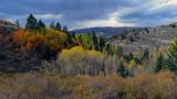 P1060700a.jpg