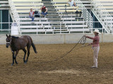 show_10