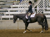 show_17