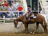 show_27