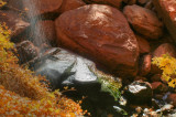 Wet Rock