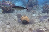 IMG_0115.jpg