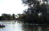 PICT0001R.jpg