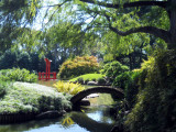 DSCN2800.jpg