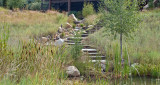Stairways - Water Feature - Pond