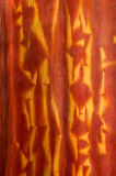Manzanita Bark Patterns