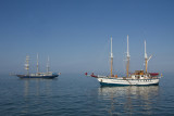 Urvina Bay, Isabela Island
