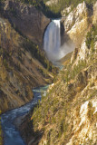 Lower Falls on Yellowstone River