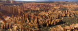 Ampitheater Panorama