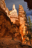 Rock Pinnacles from Queens Garden Trail