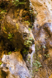 Dripping Water at Weeping Rock