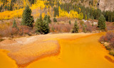 Mountain Stream Turned Yellow by Mine Tailings