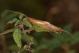 Unid 006b