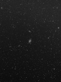 M81 20 minute subexposure, dark and flat calibrated